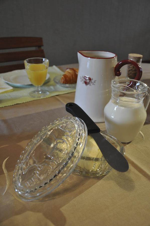 Les Charmilles Bed & Breakfast Saint-Jean-de-Losne Exterior photo